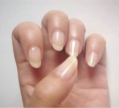 Ducato Base and Top Coat 2