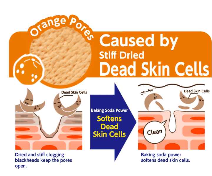 石澤研究所 毛穴撫子-促進洗顏粉 100g