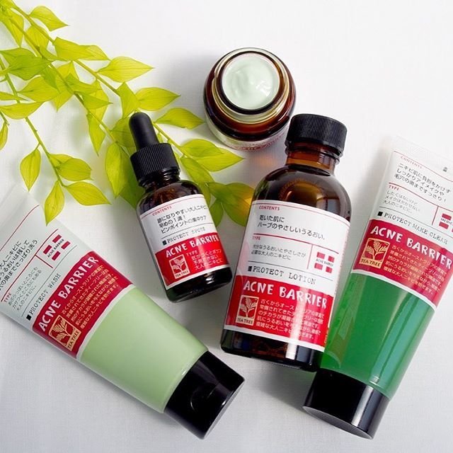 石澤研究所 ACNE BARRIER【茶樹驅動油系列】清爽護理保濕凝霜/33g