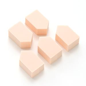 ROSY ROSA Value Sponge House S 30P