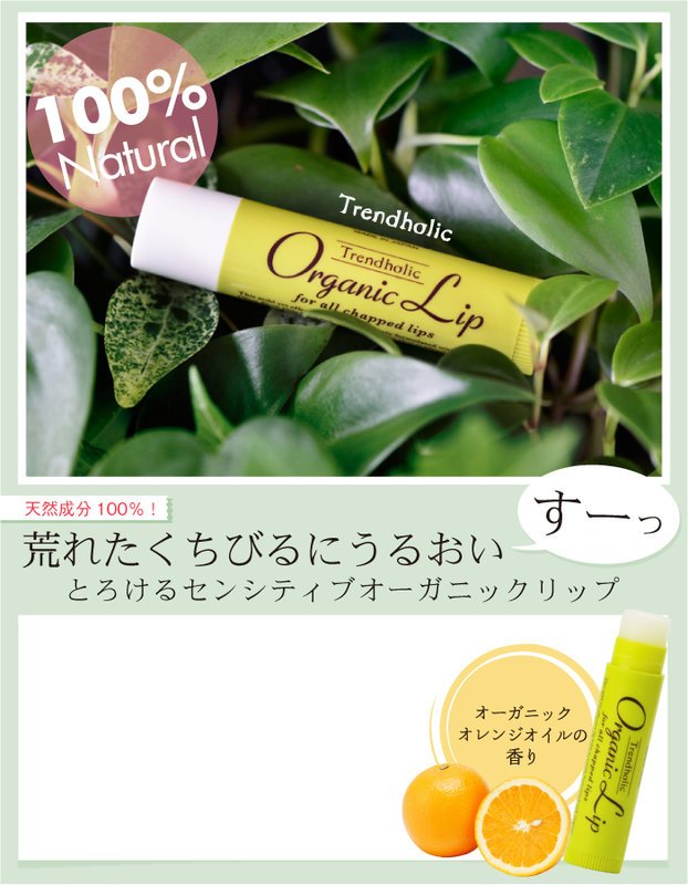 石澤研究所 Trendholic 戀愛美唇-植物精華保唇唇膏 4.5g