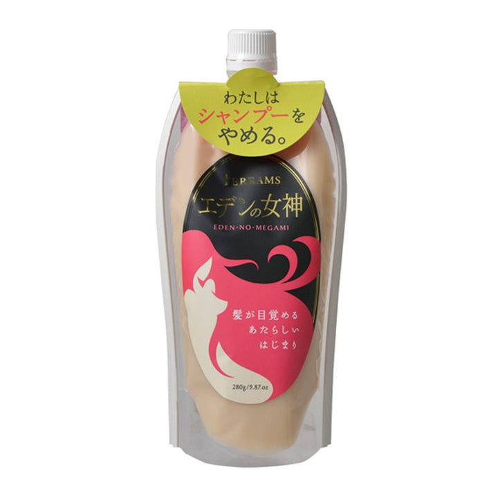 石澤研究所 Terrams 無泡秀發洗潤修護素280g