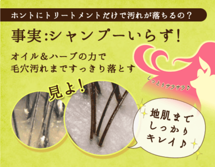 石澤研究所 Terrams 無泡秀發洗潤修護素100g