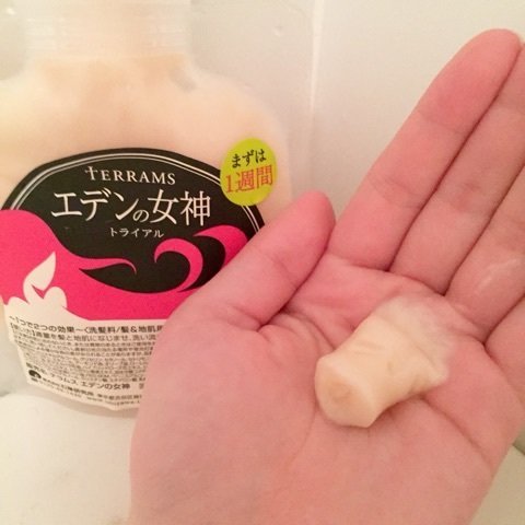 石澤研究所 Terrams 無泡秀發洗潤修護素100g