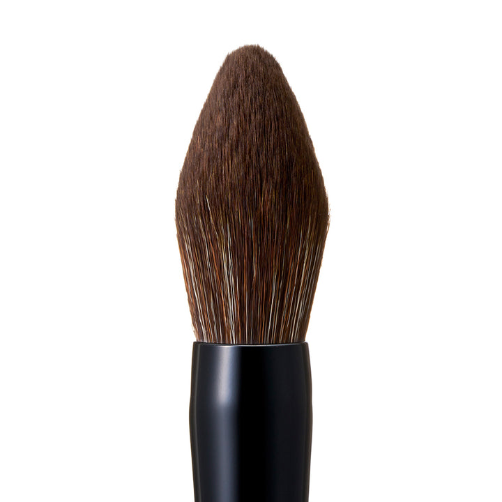 ROSY ROSA Powder Brush EX  (Special Edition )