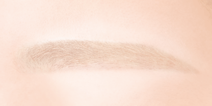 CANMAKE Concealer Brow Mascara [New Color]