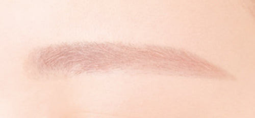 CANMAKE Concealer Brow Mascara [New Color]