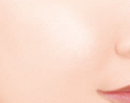 CANMAKE Moist Prism Primer [New]