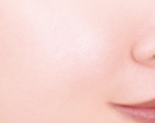 CANMAKE Moist Prism Primer [New]