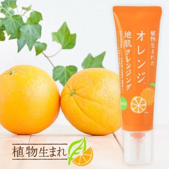 石澤研究所 植物生 柑橘頭皮潔淨凝膠 130g